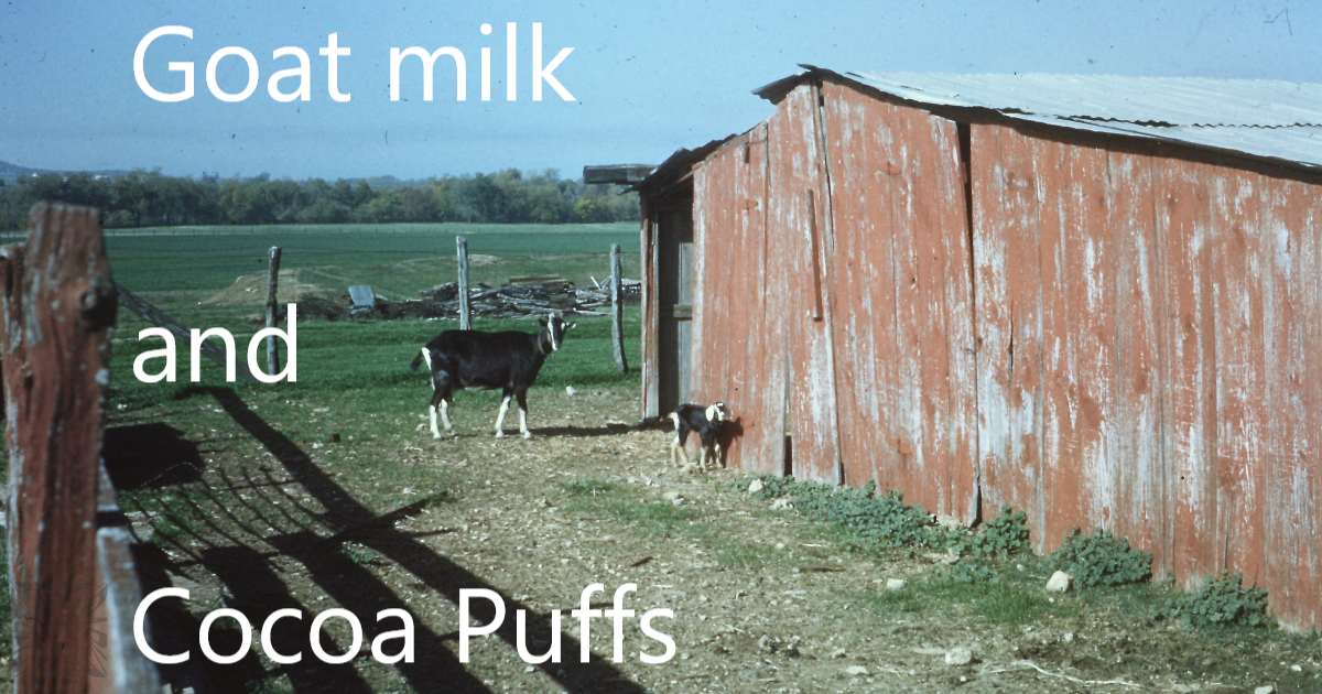 Goat Milk and Cocoa Puffs