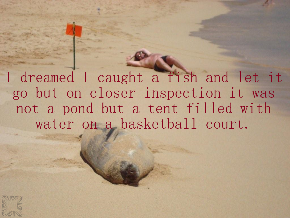I Dreamed I Caught a Fish