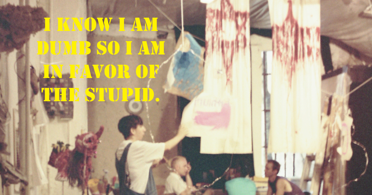 In Favor of the Stupid