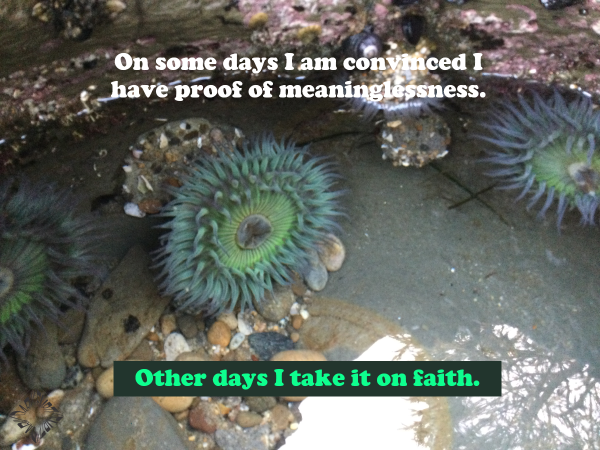 Take it on Faith